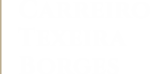 logotipo secundário transparente 2